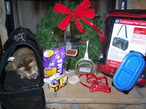 Kitten Starter Kit