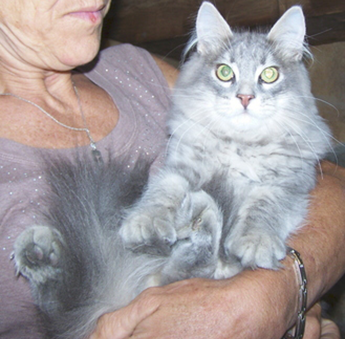 Holding Mikhail