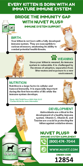 Every Kitten Is Born With An Immature Immune System