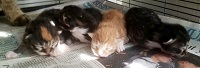 2 Boys, 2 Girls 2 Boys, 2 Girls